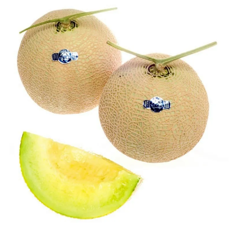 Shizuoka Crown Melon Seeds