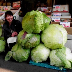 Japanska Gigantiska Kål Frön