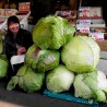 Price: €2.65 - Semillas De Col Gigante Japonés - 