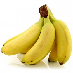 Banana Frön Musa nagensium...