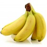 Price: €5 - Istocno Indijska Banana seme otporna do -20C (Musa nagensium) - Unbranded