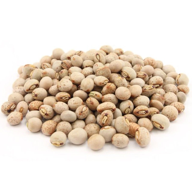 Price: €2.15 - Semillas frijol de palo (Cajanus cajan) - 