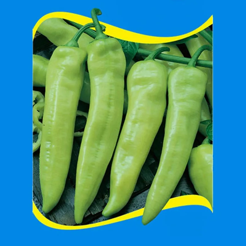Rekord Hot Pepper Seeds