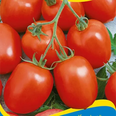 Zomok Tomatensamen
