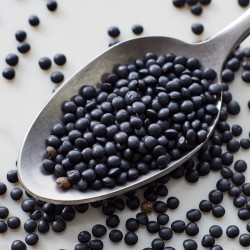 Price: €1.95 - Sementes de lentilha preta Beluga - 
