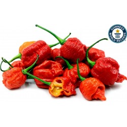 Carolina Reaper röd och gul Frön 2.45 - 1