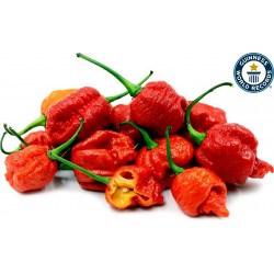 Price: €5.5 - 100 Σπόροι Carolina Reaper - Seeds Gallery
