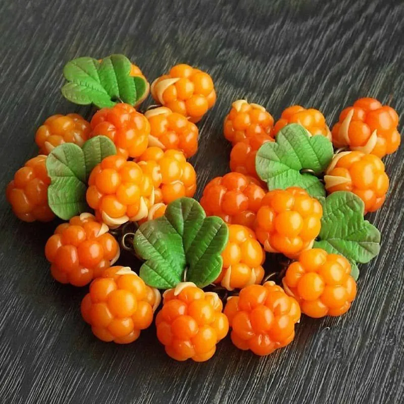 Σπόροι Cloudberry (Rubus chamaemorus)