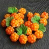 Hjortron frön (Rubus chamaemorus) | 3,85 €