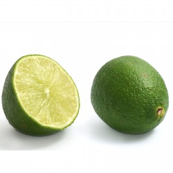 Echte Limette Samen (Citrus...