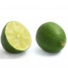Price: €2.25 - Echte Limette Samen (Citrus aurantiifolia) - 