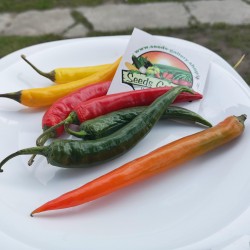 Price: €1.95 - Semena Cayenne Chilli paprička smíšených barev - Seeds Gallery