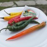 Price: €1.95 - Σπόροι τσίλι Cayenne (Μικτά χρώματα) - Seeds Gallery