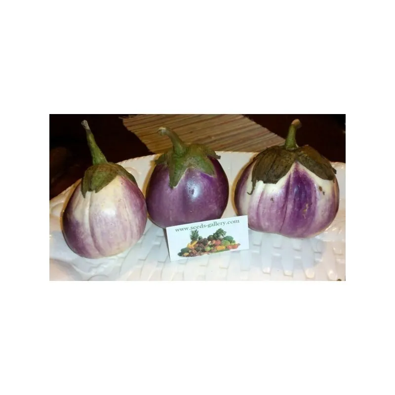 Patlidzan Seme “Rosa Bianca“