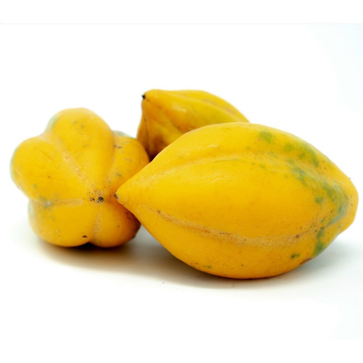 Nasiona Papaja górska (Vasconcellea pubescens) - 2.7