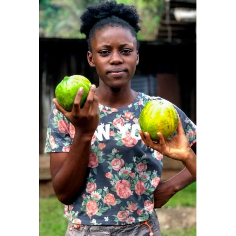 Super retka Carica papaja seme Gabonska Dinja