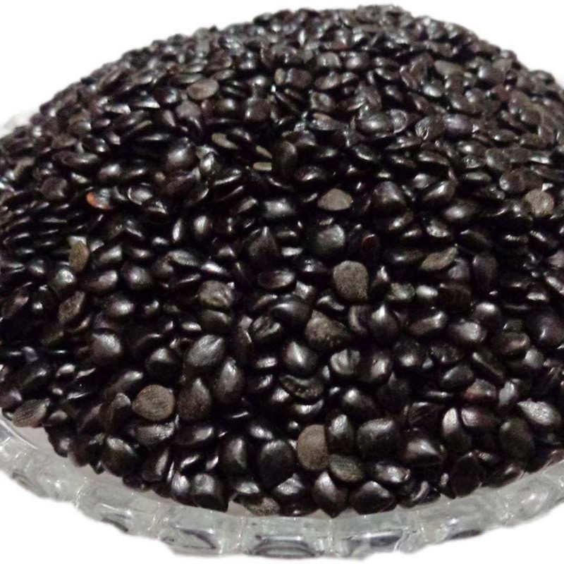 Price: €1.95 - Graines Chaksu, Jasmejaaz (Cassia absus) - 