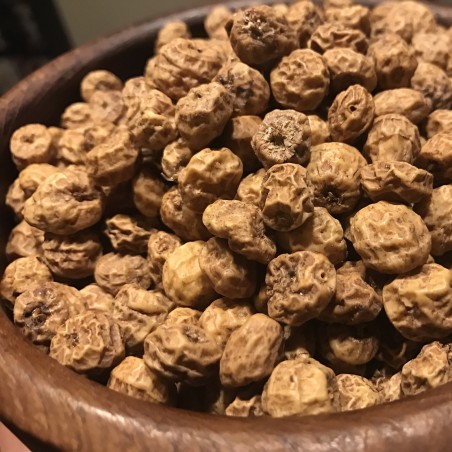 Sementes de JUNÇA (Cyperus esculentus)