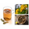 Price: €2.55 - Semillas guanima de Cuba (Cassia tora) - 