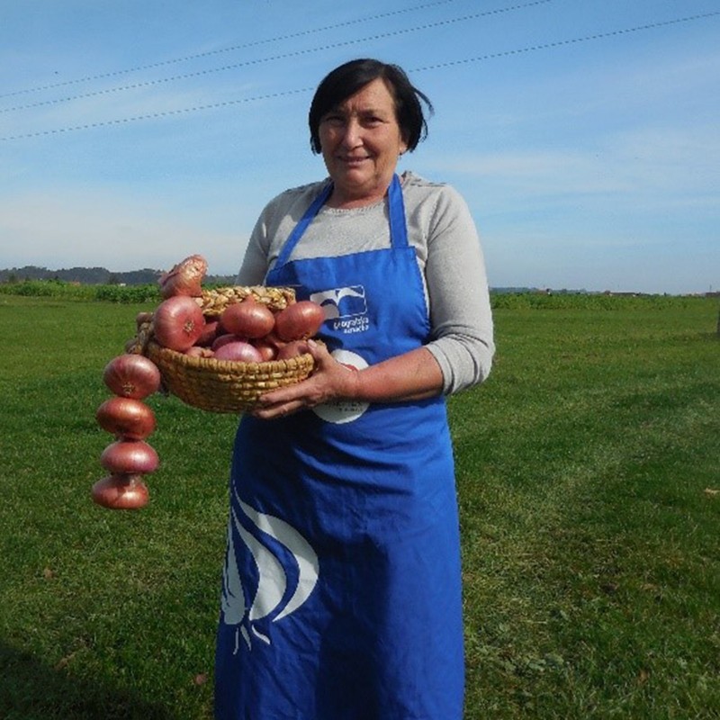 Σπόροι κόκκινου κρεμμυδιού Ptujski Luk | 2,05 €