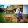 Price: €2.049999 - Graines d'oignon rouge Ptujski Luk - 