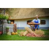 Price: €2.049999 - Graines d'oignon rouge Ptujski Luk - 