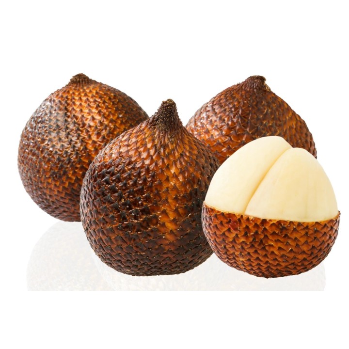 Exotic Snake Fruit Salak Seeds (Salacca edulis) - 7