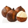 Price: €7 - Semillas de Fruta serpiente (Salacca zalacca) - 