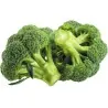 Broccoli Corvet Seeds