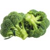 Price: €1.65 - Semillas de Brécol - Bróculi - Brócoli Corvet - 