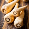 Price: €1.55 - Semi di pastinaca pannonica lisci - Unbranded