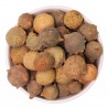 Price: €9.95 - Semi di quercia di Aleppo (Quercus infectoria) - 