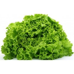 Price: €1.85 - Semillas de ensalada de invierno Kristalka - 