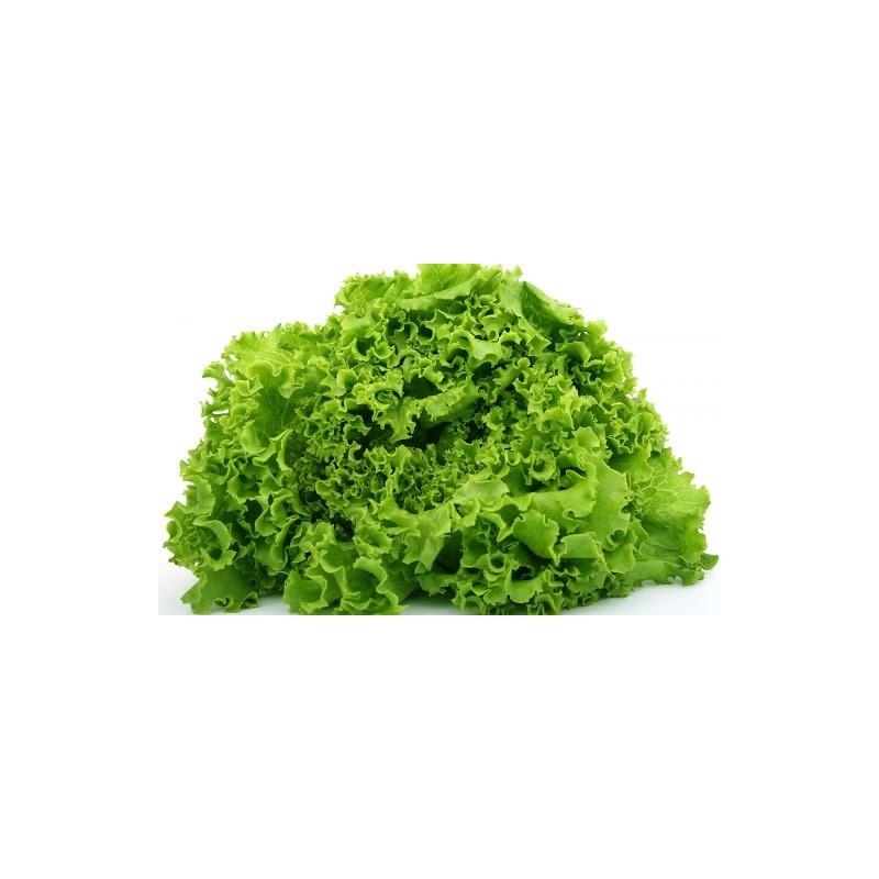 Price: €1.85 - Semillas de ensalada de invierno Kristalka - 