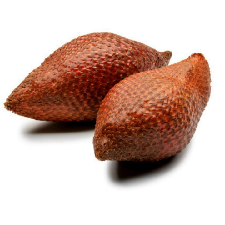 Exotic Snake Fruit Salak Seeds (Salacca edulis) - 7