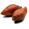 Price: €7 - Semi Di Salak - Frutto Serpente - 