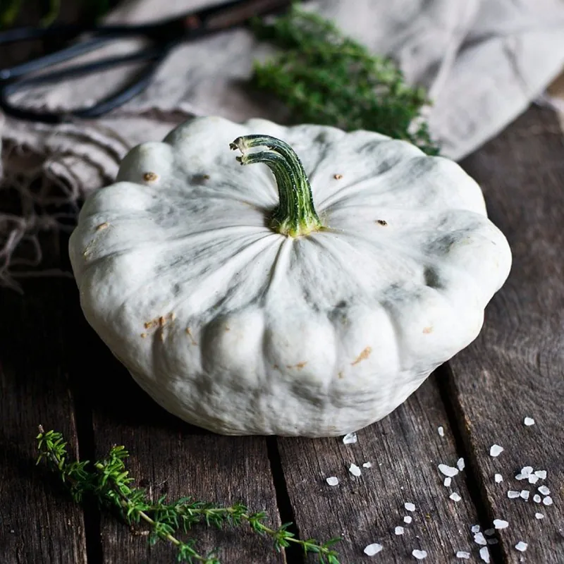 Graines de Courge Patisson Blanc