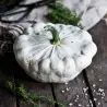 Graines de Courge Patisson Blanc