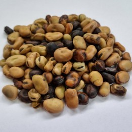 Nasiona bobu Sweet Lorane - 1.305