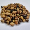 Sweet Lorane fava - bob seme (Vicia faba) | 1,45 €