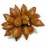 Price: €7 - Semi Di Salak - Frutto Serpente - 