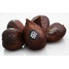 Price: €7 - Semillas de Fruta serpiente (Salacca zalacca) - 