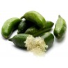 Price: €5.95 - Graines de Citron Caviar - 