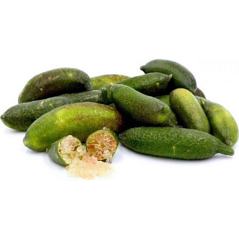 Price: €5.95 - Semillas De Lima dedo - 