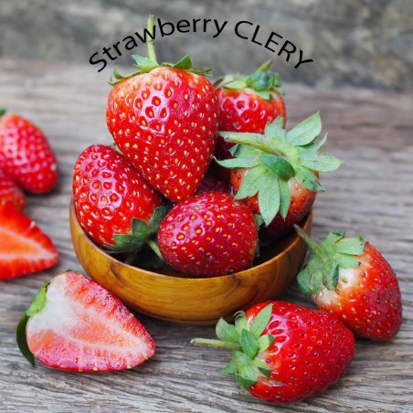 Price: €1.95 - Erdbeersamen 2 in 1 APRICA + CLERY - Seeds Gallery