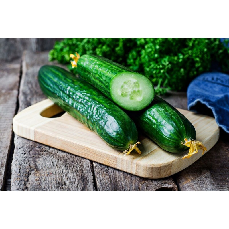 Price: €1.65 - Graines de concombre Sprinter - Seeds Gallery