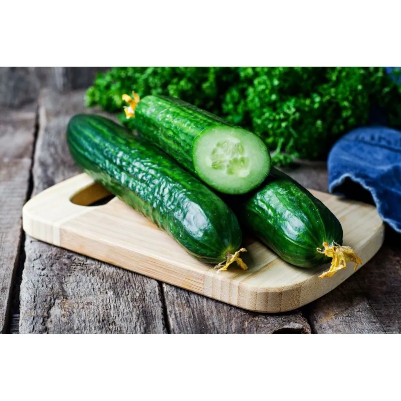 Sprinter cucumber seeds