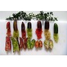 Price: €5.95 - Graines de Citron Caviar - 