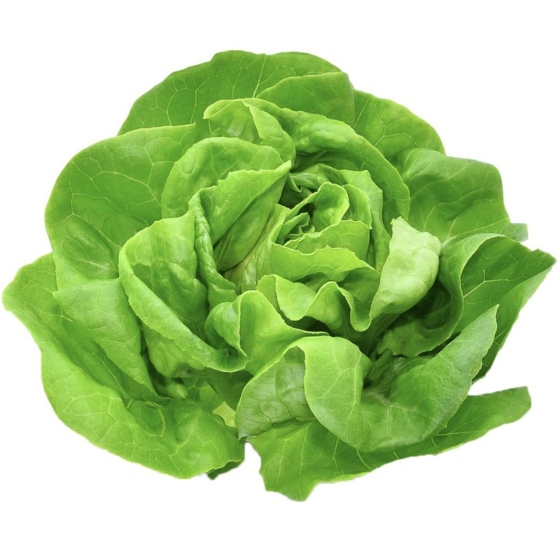 Price: €1.85 - Vuka Frühlingskopfsalatsamen - 