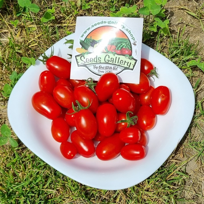 Price: €1.95 - Semillas de tomate Datterino - Datterini - 